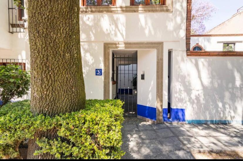 Siete Puertas Coyoacan Мехико Экстерьер фото